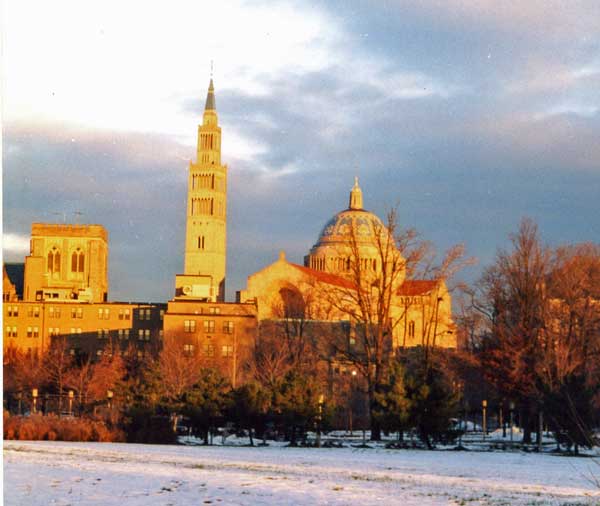 National Shrine Snow