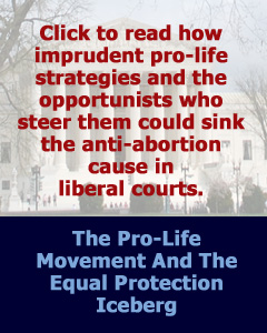 The Pro-Life Movement And The Equal Protection Iceberg